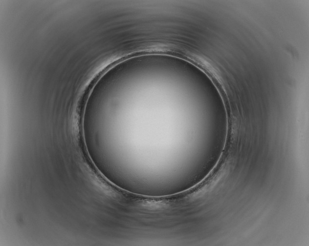 X0000115840835200911131529