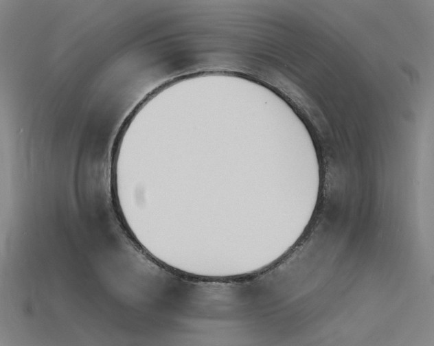 X0000115840836200911131529