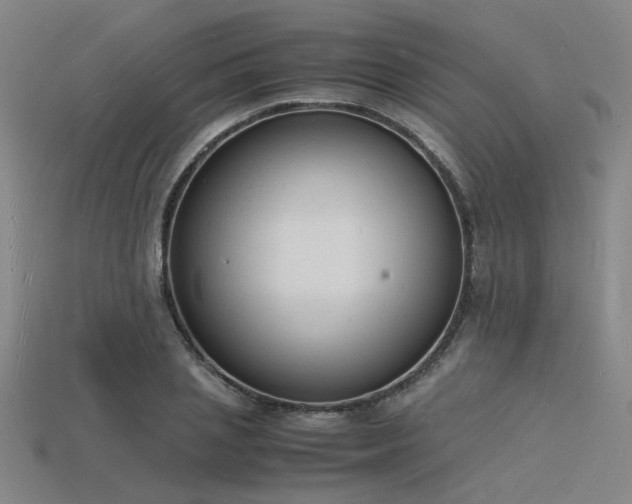 X0000115840837200911131529