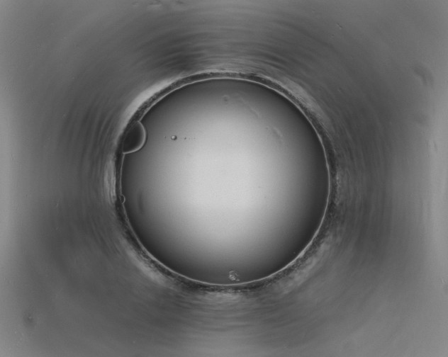 X0000115840838200911131529