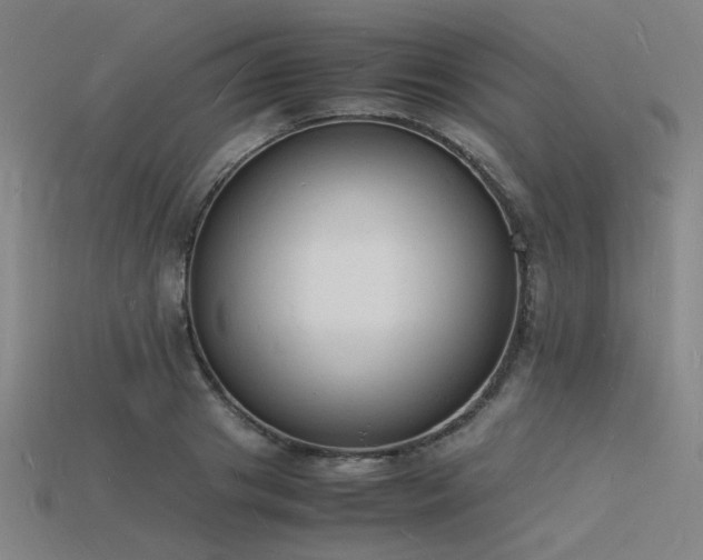 X0000115840841200911131529