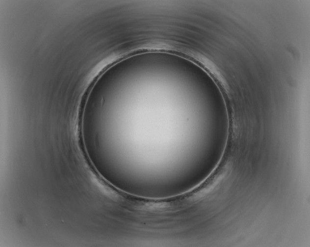 X0000115840845200911131529
