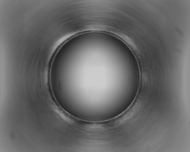 X0000115840846200911131529