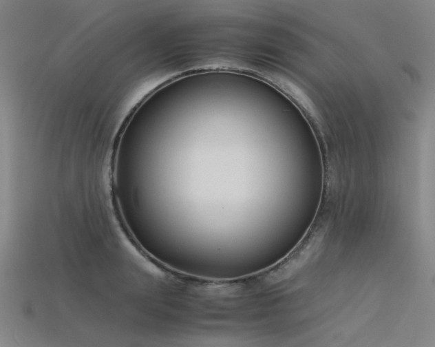 X0000115840847200911131529