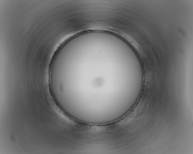 X0000115840848200911131529