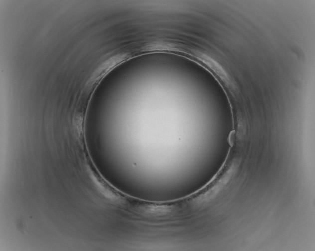 X0000115840849200911131529
