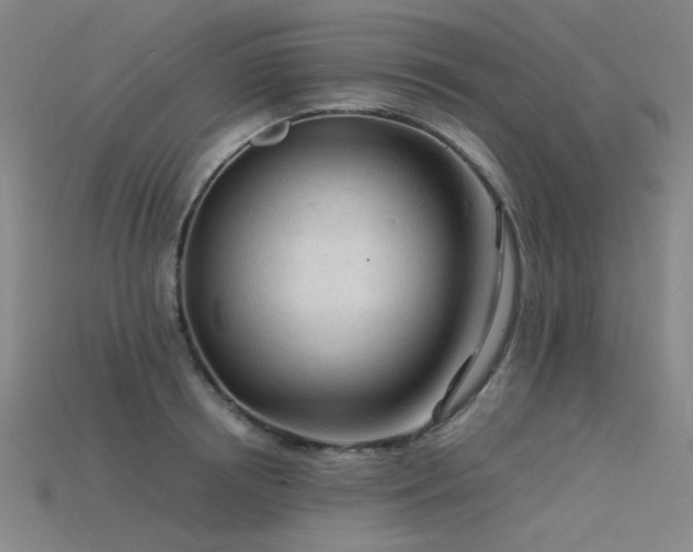 X0000115840850200911131529
