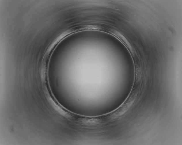 X0000115840851200911131529