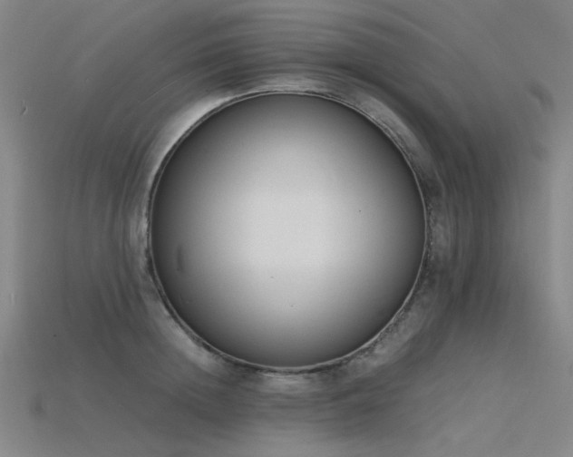 X0000115840852200911131529
