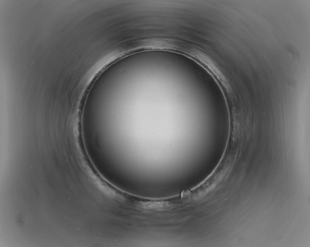 X0000115840853200911131529