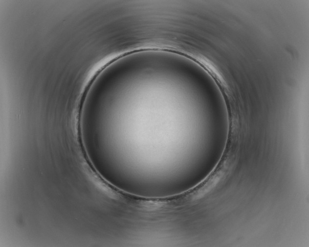 X0000115840854200911131529