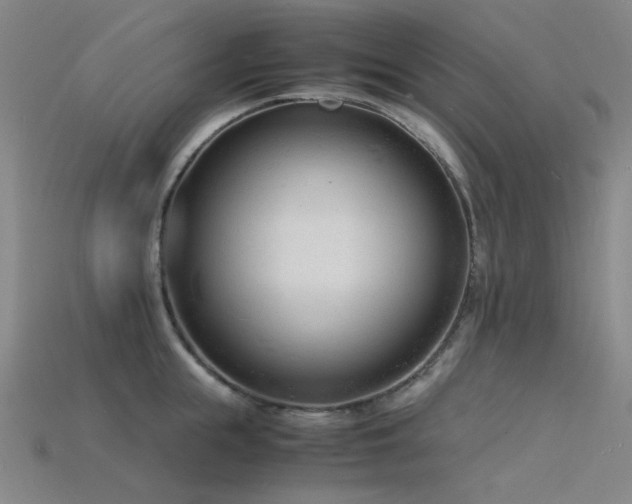 X0000115840855200911131529