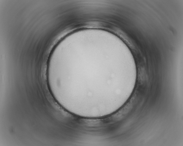 X0000115840856200911131529