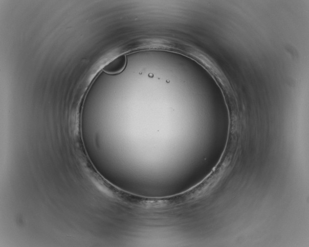 X0000115840858200911131529