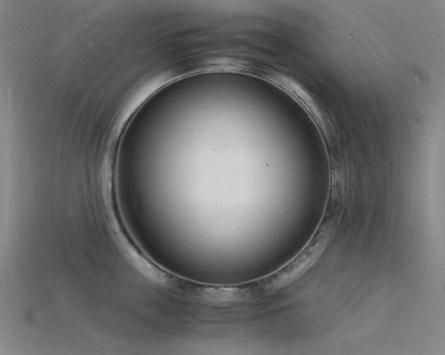 X0000115840859200911131529