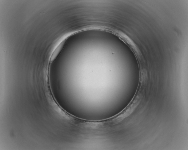 X0000115840860200911131529