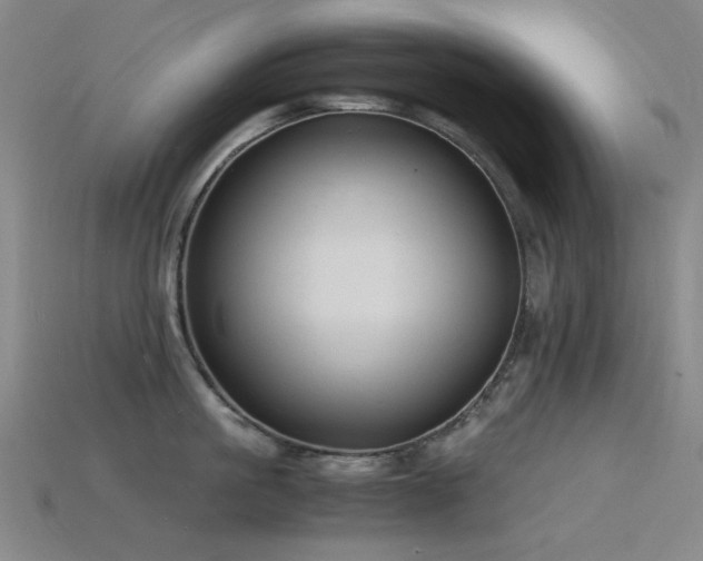 X0000115840861200911131529