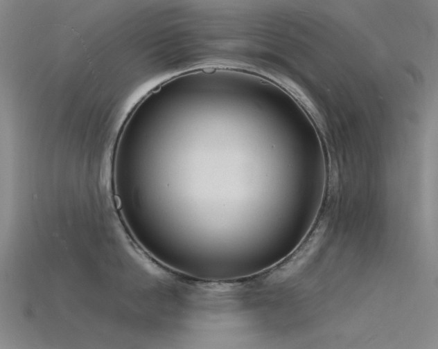 X0000115840862200911131529
