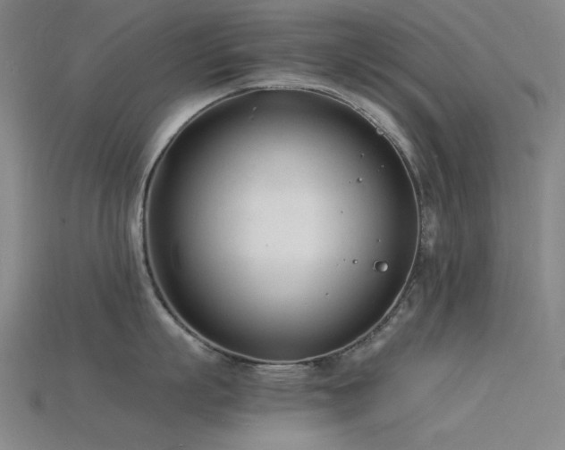 X0000115840863200911131529