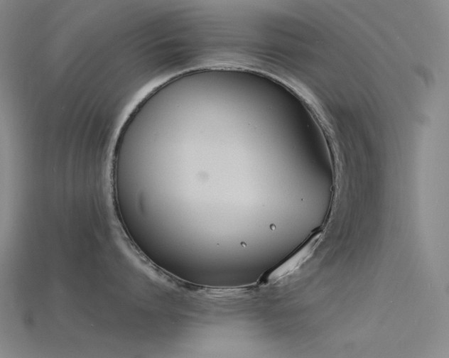 X0000115840864200911131529