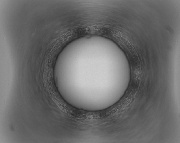 X0000115840865200911131529