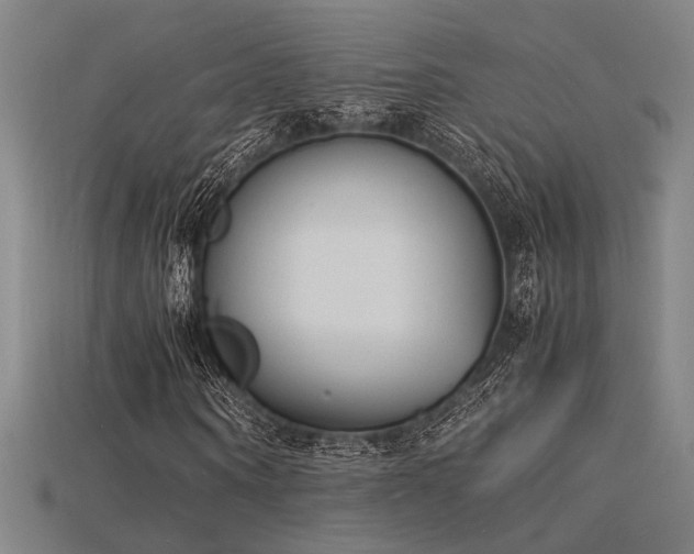 X0000115840866200911131529
