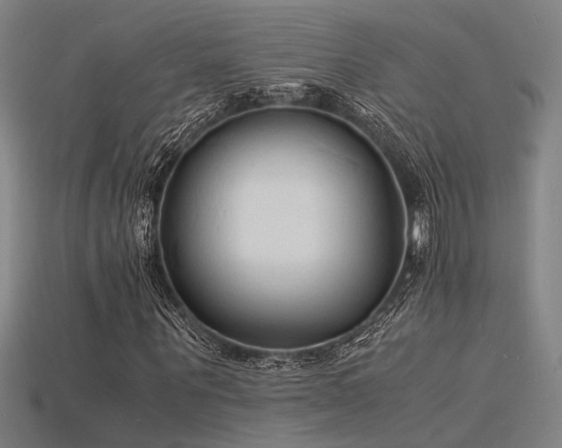 X0000115840867200911131529