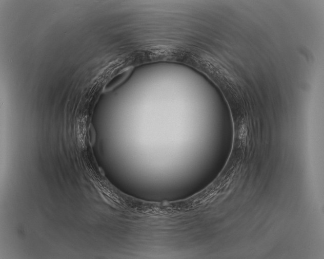 X0000115840868200911131529