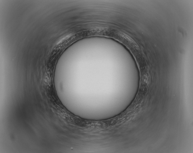 X0000115840869200911131529