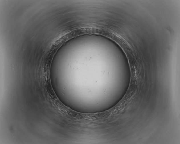 X0000115840870200911131529