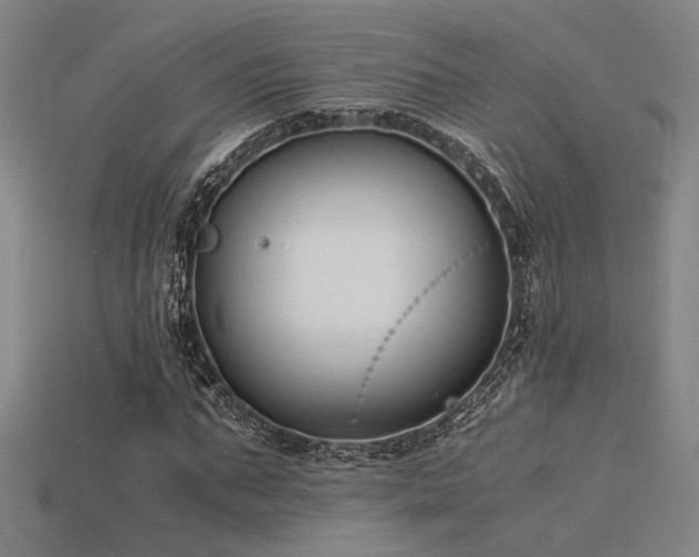 X0000115840871200911131529