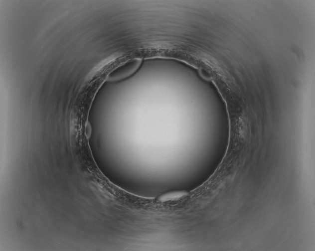 X0000115840872200911131529