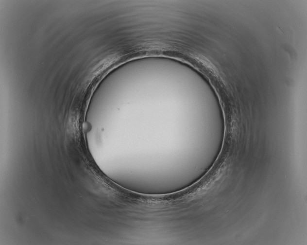 X0000115840873200911131529