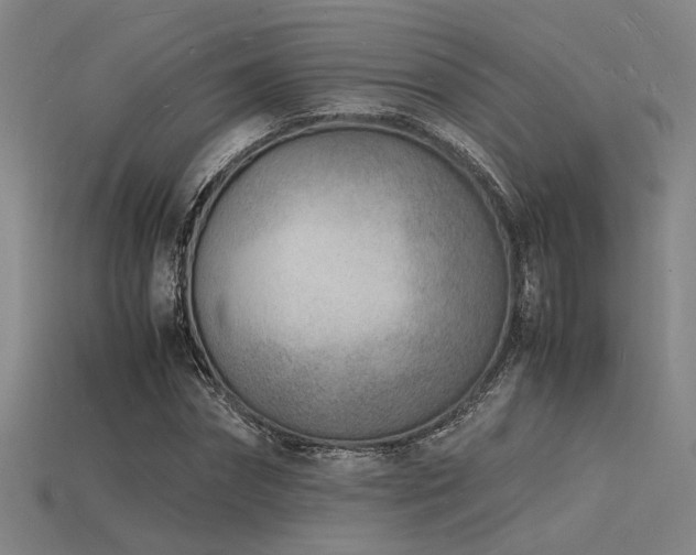 X0000115840874200911131529