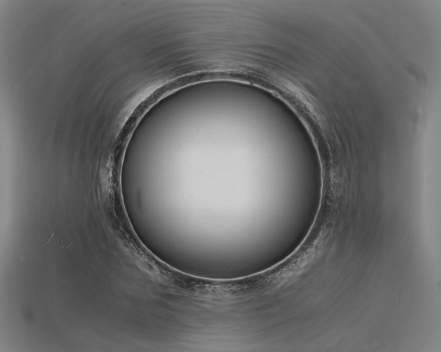 X0000115840875200911131529