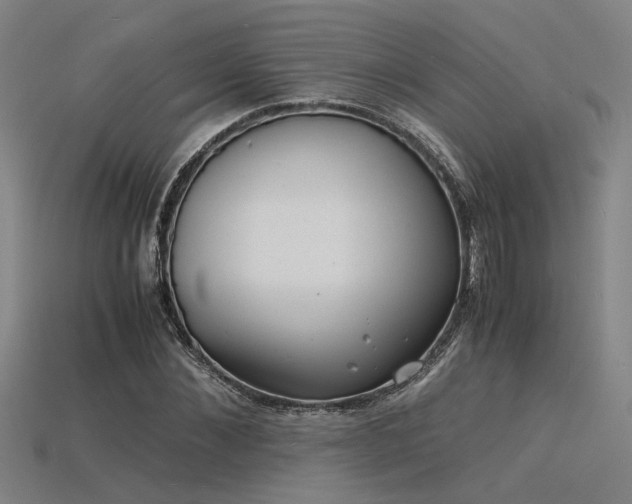 X0000115840876200911131529