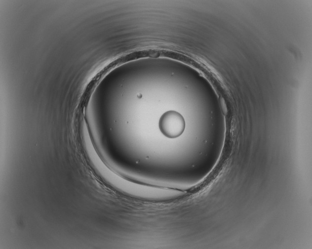 X0000115840877200911131529
