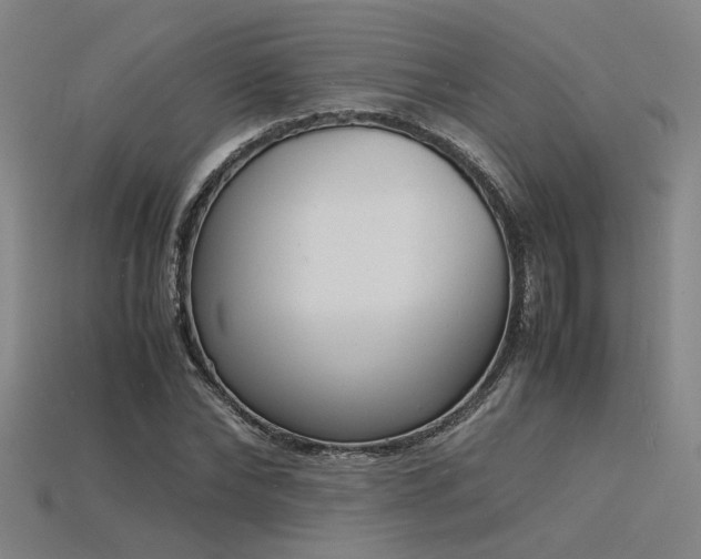 X0000115840878200911131529