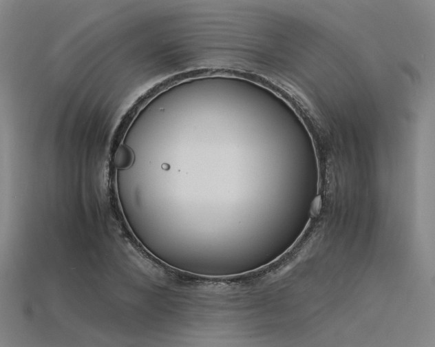 X0000115840880200911131528