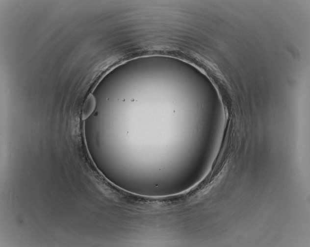 X0000115840881200911131528