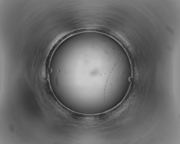 X0000115840883200911131528