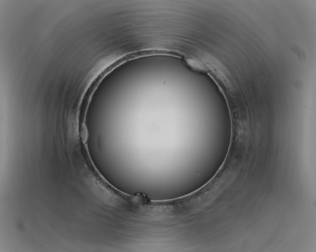 X0000115840884200911131528