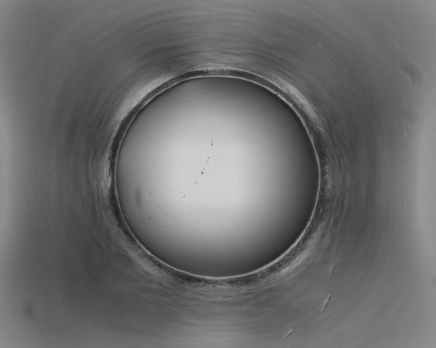 X0000115840885200911131528