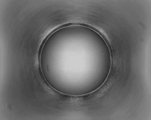 X0000115840887200911131528