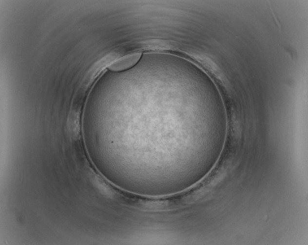 X0000115840889200911131528