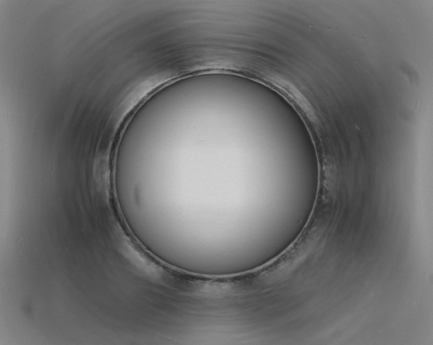 X0000115840890200911131528