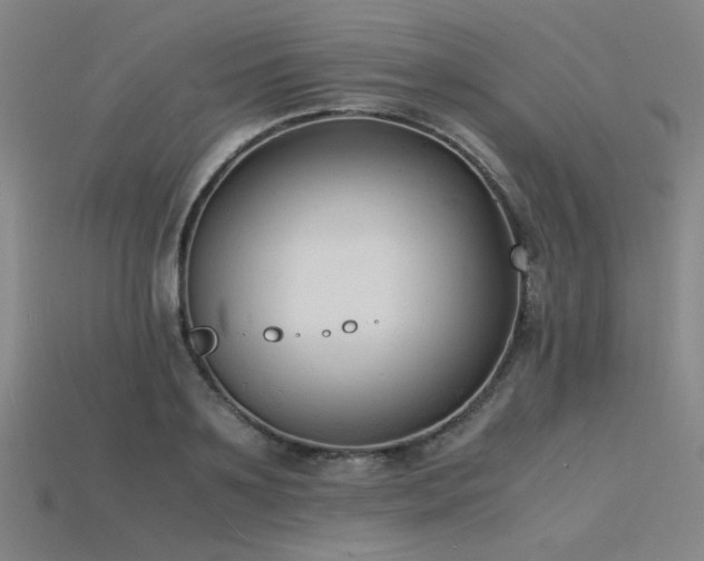 X0000115840891200911131528