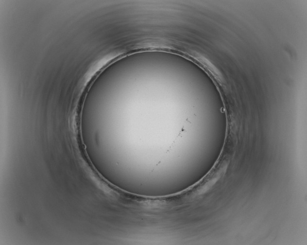 X0000115840893200911131528