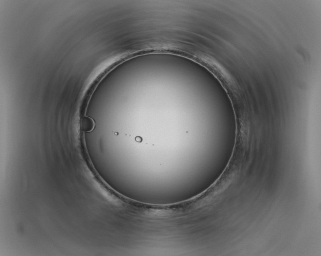 X0000115840894200911131528