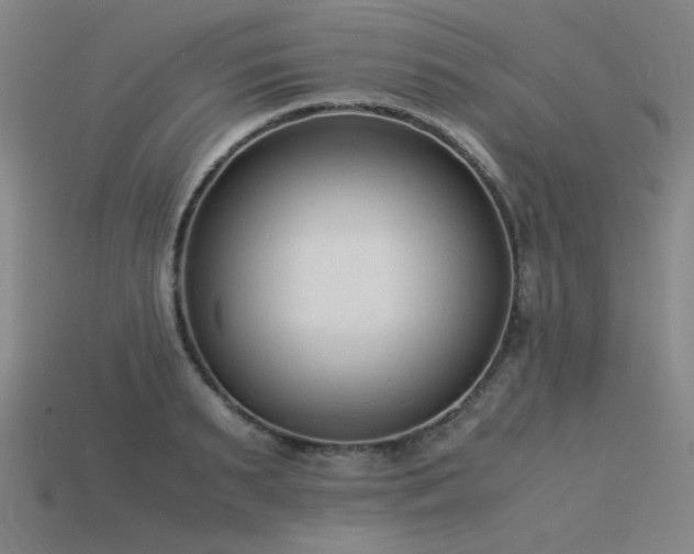 X0000115840895200911131528